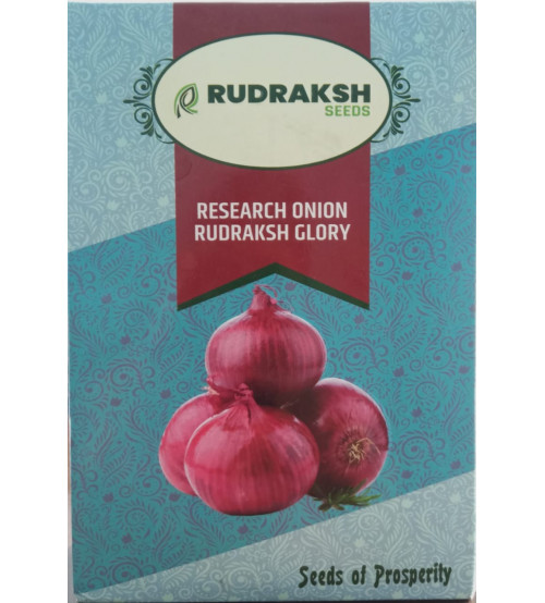 Onion Research Rudraksh Glory 500 grams